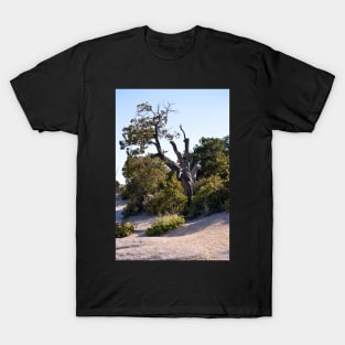 Just trying to Survivie T-Shirt